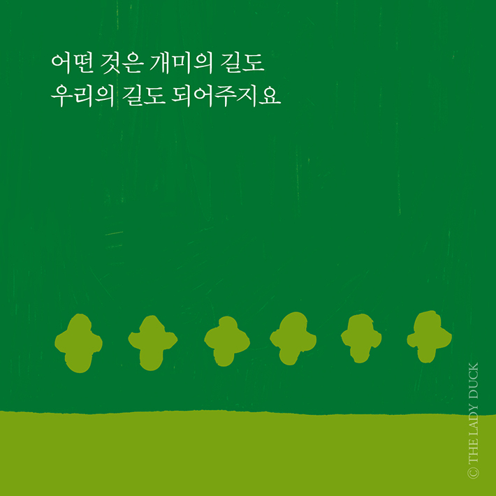 카드뉴스4