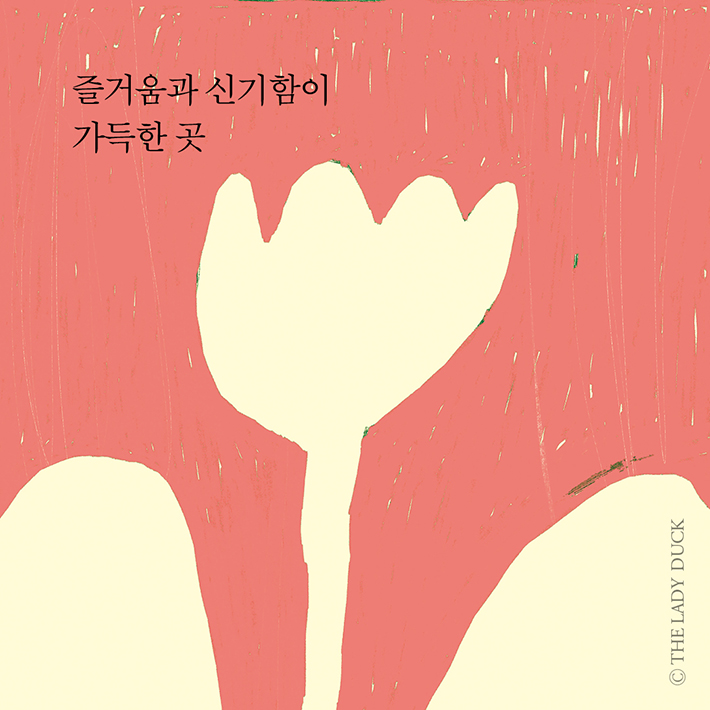 카드뉴스5