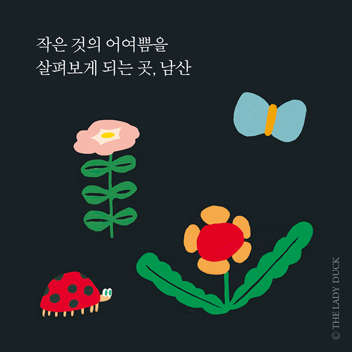 카드뉴스6