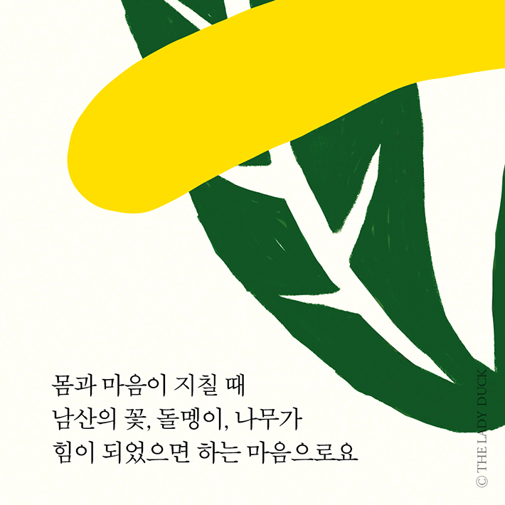 카드뉴스8