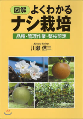 圖解よくわかるナシ栽培 品種.管理作業.整枝剪定 