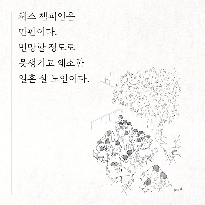 카드뉴스3