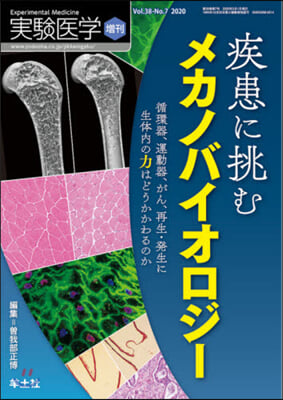 疾患に挑むメカノバイオロジ- 循環器,運