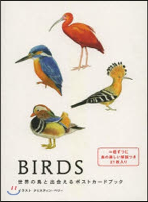 BIRDS 世界の鳥と出會えるポストカ-