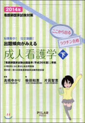 看護師國家試驗對策 出題傾向がみえる 成人看護學 2014年(下)