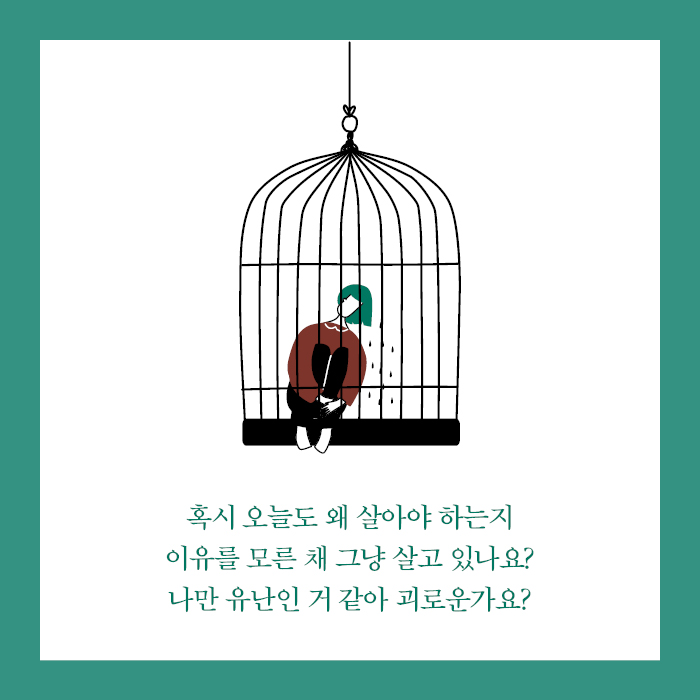 카드뉴스