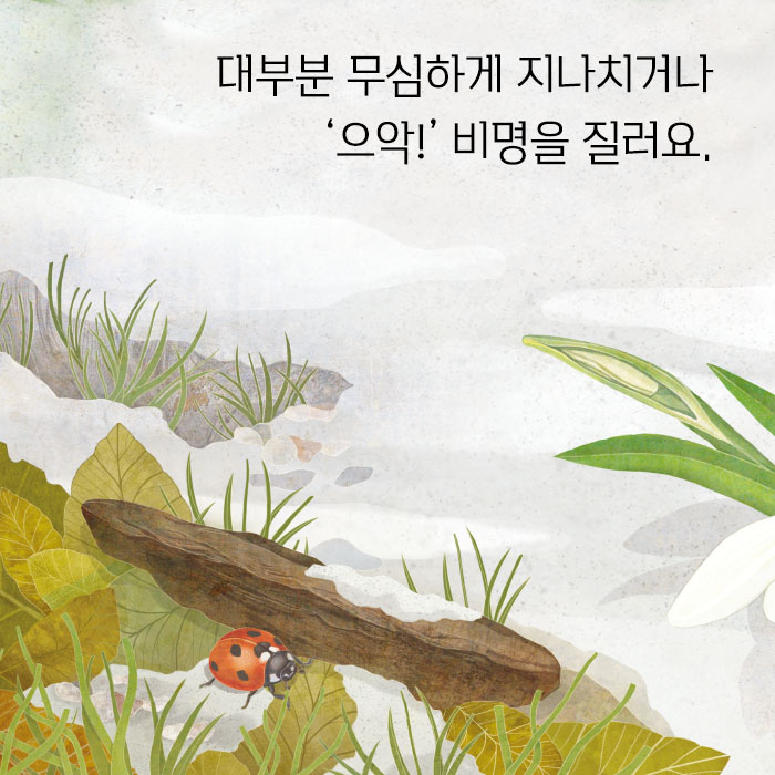 카드뉴스3
