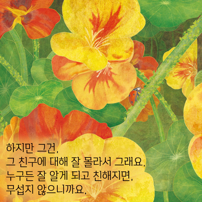 카드뉴스4