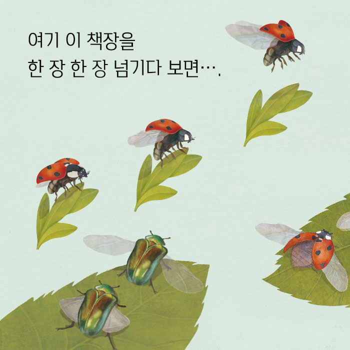 카드뉴스5