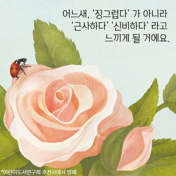 카드뉴스6