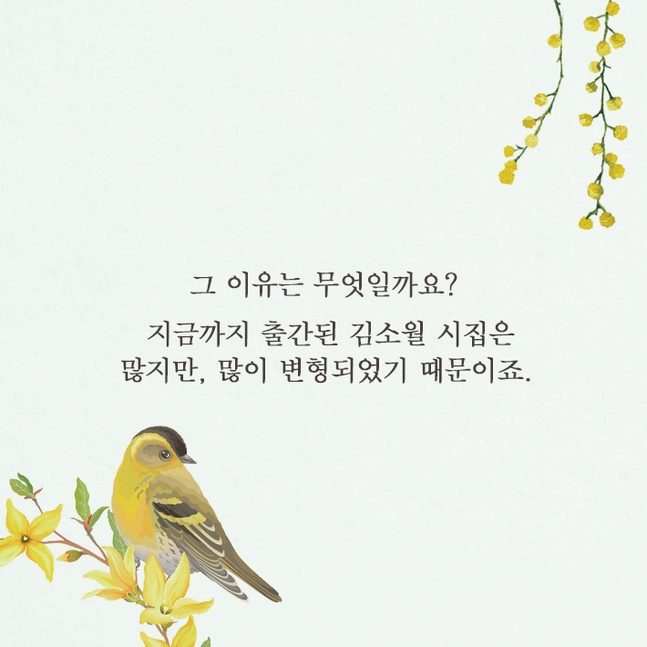 카드뉴스5