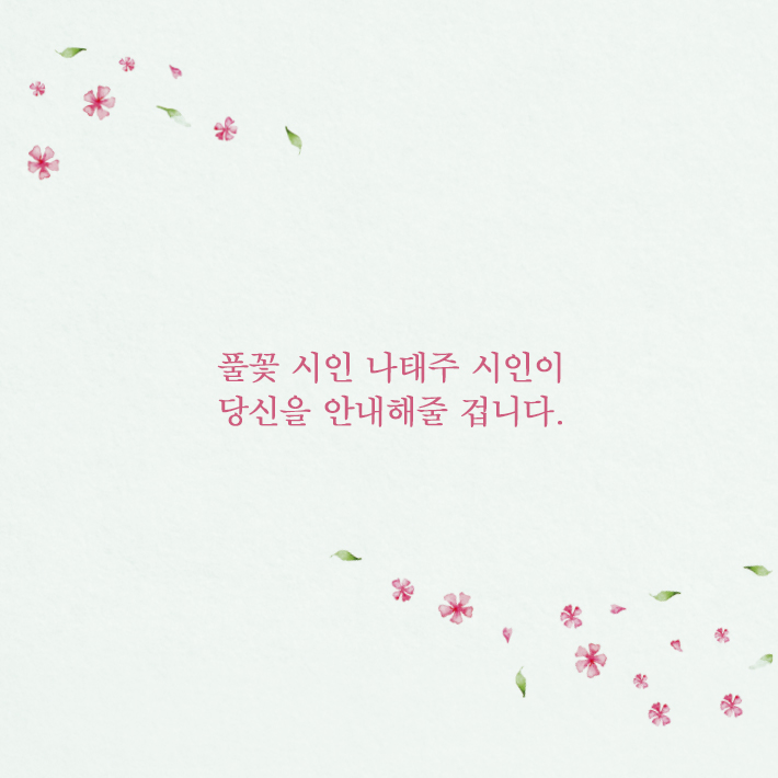 카드뉴스7