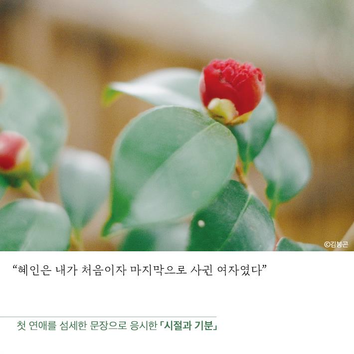 카드뉴스3