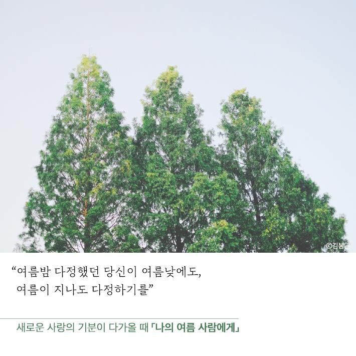 카드뉴스5