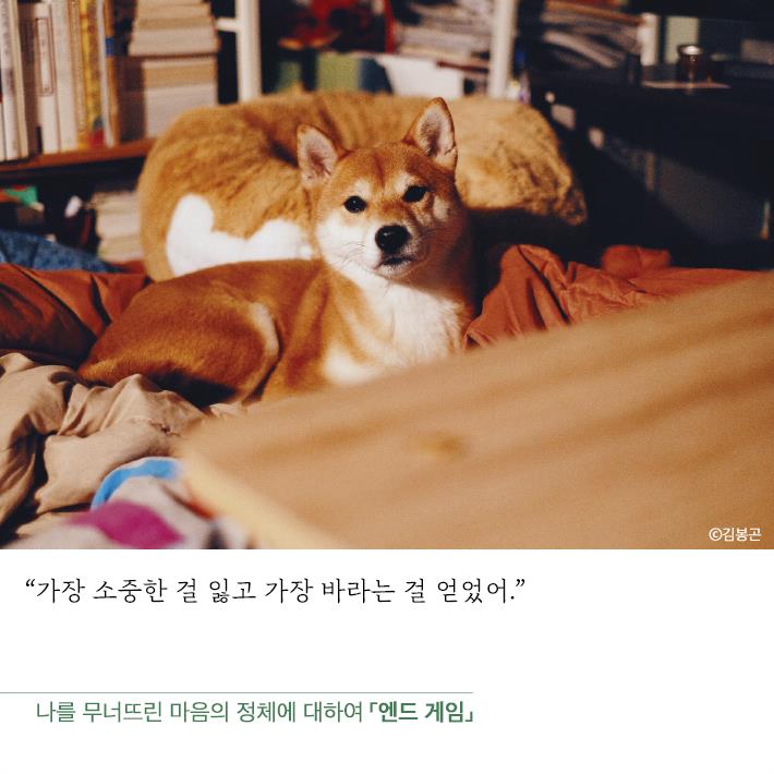 카드뉴스6