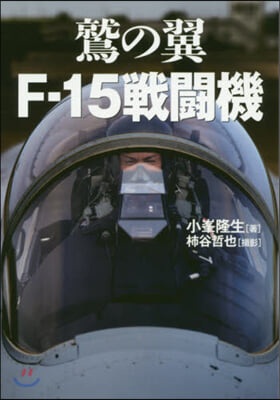 鷲の翼 F－15戰鬪機－歷代イ-グルドラ