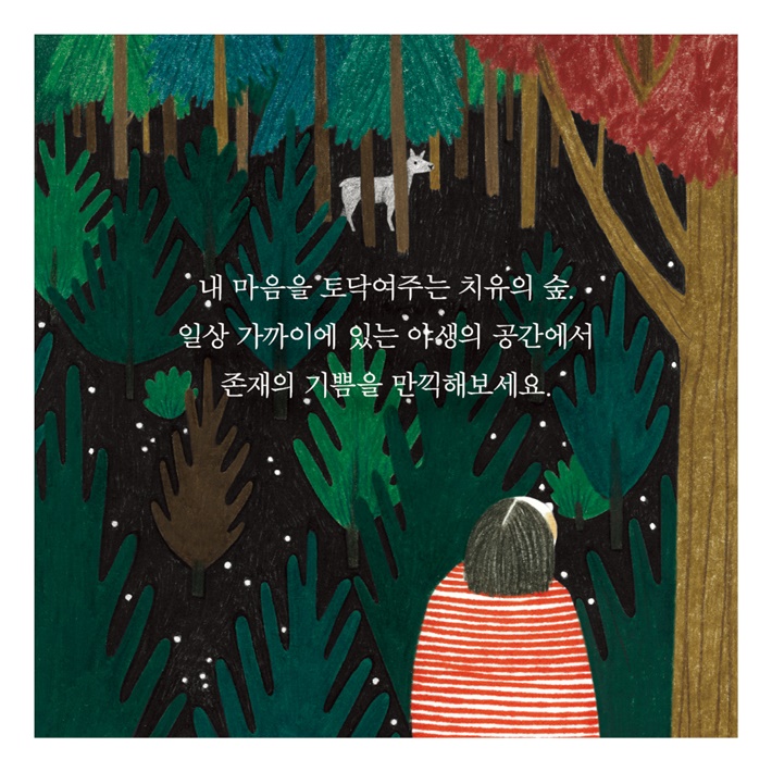 카드뉴스5