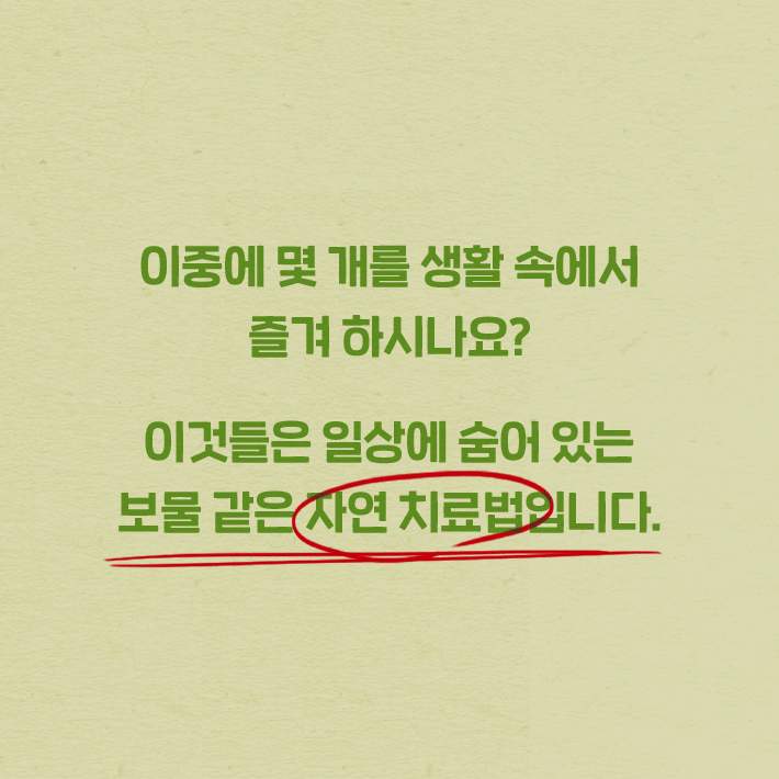 카드뉴스2