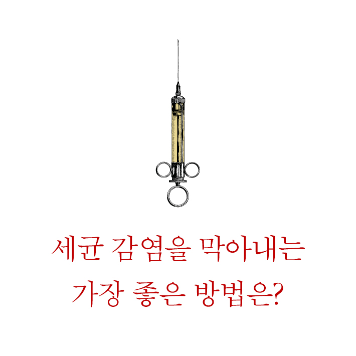 카드뉴스