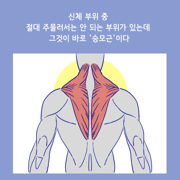 카드뉴스17