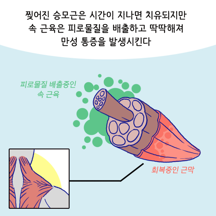 카드뉴스19
