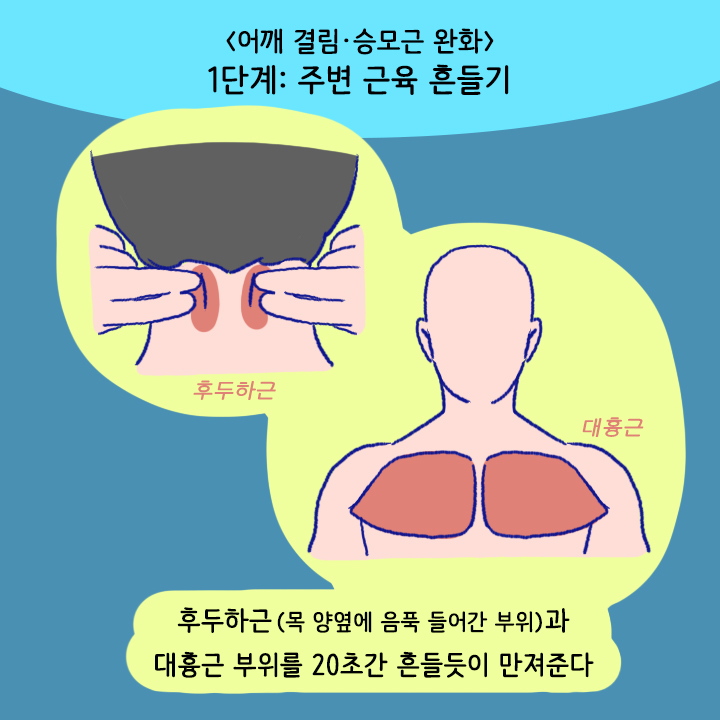 카드뉴스22