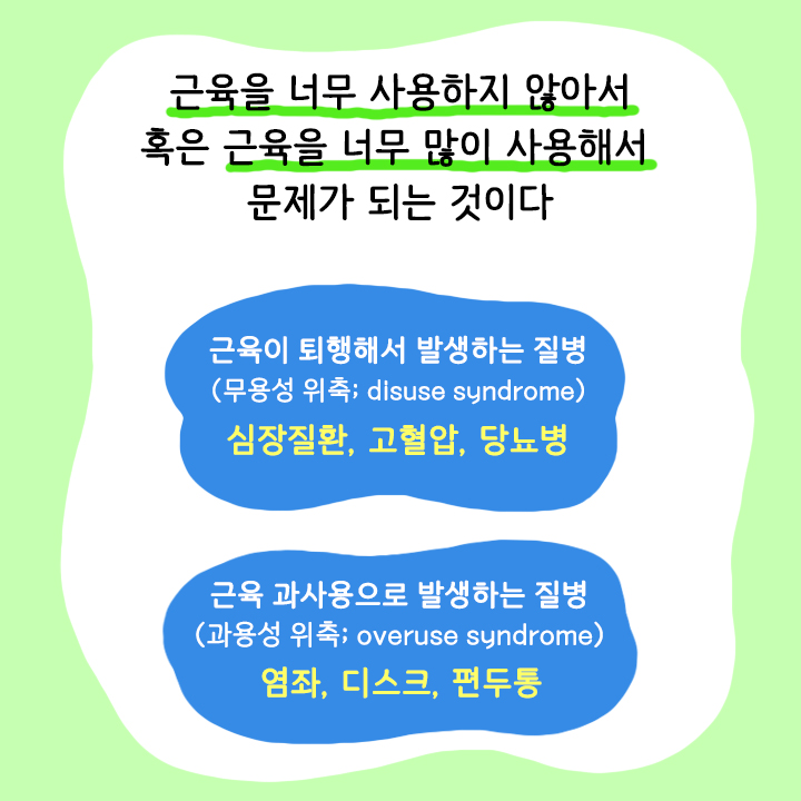 카드뉴스26