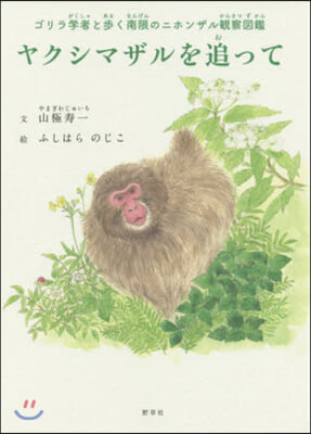 ヤクシマザルを追って ゴリラ學者と步く南限のニホンザル觀察圖鑑 