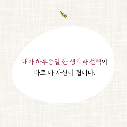 카드뉴스14