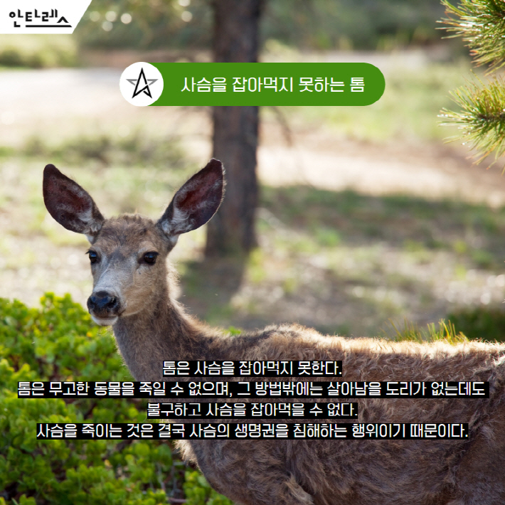 카드뉴스3