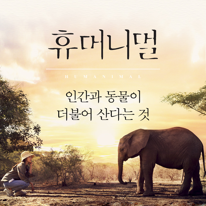 카드뉴스1