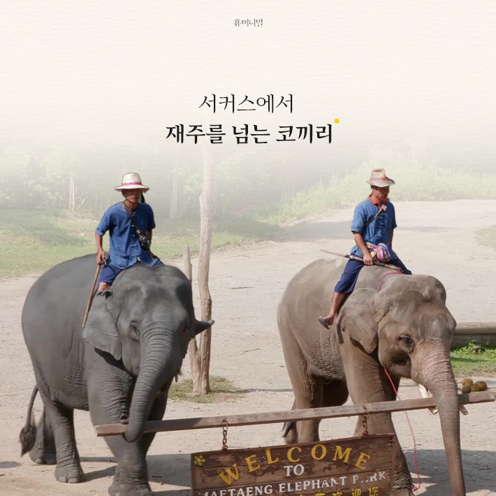 카드뉴스2