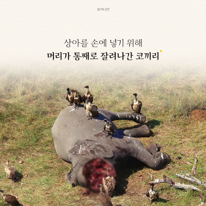 카드뉴스3