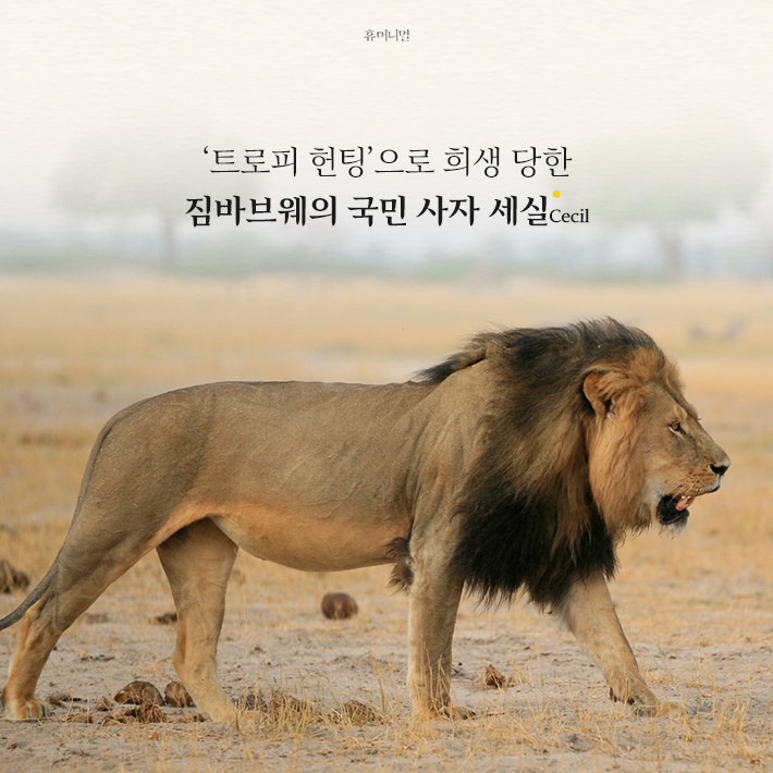 카드뉴스4