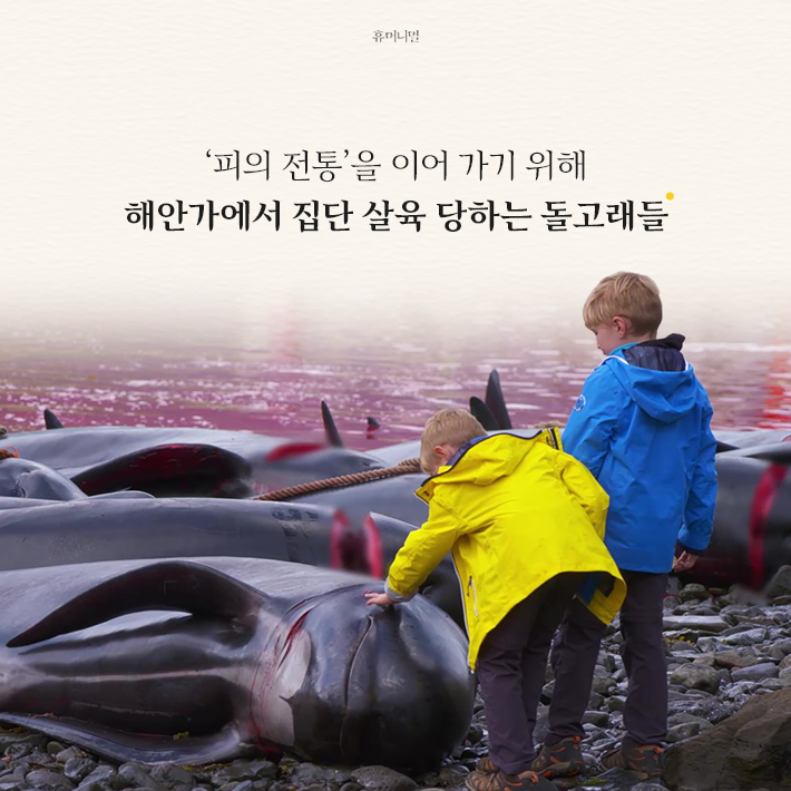 카드뉴스5