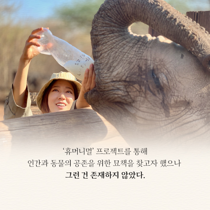 카드뉴스8