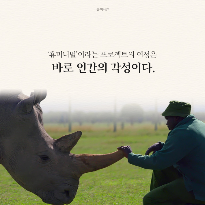 카드뉴스9