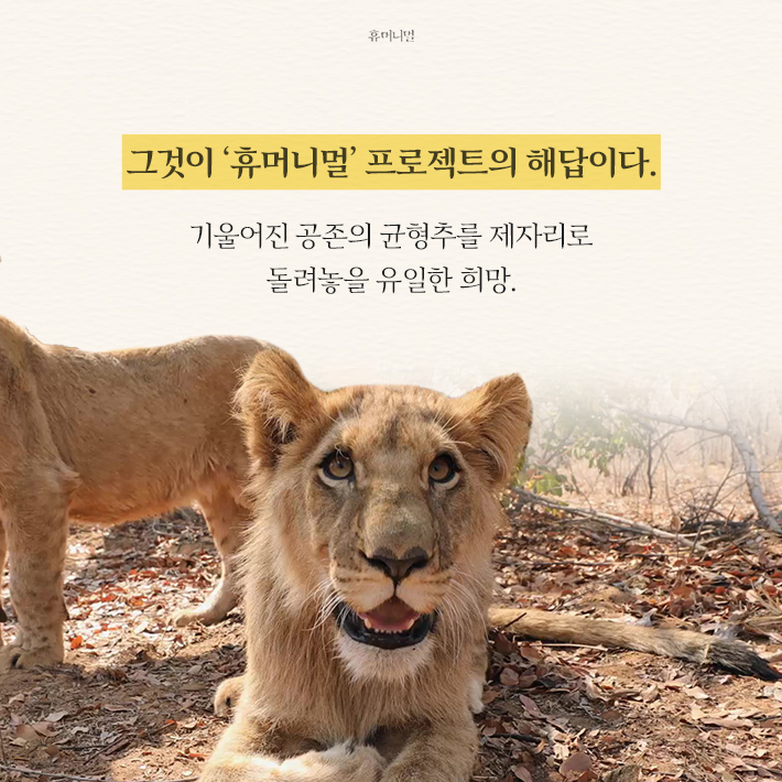 카드뉴스11
