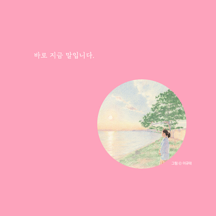 카드뉴스11