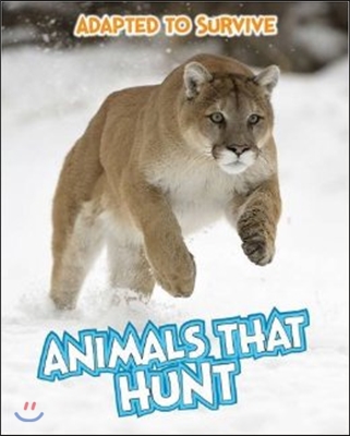 Adapted to Survive: Animals That Hunt