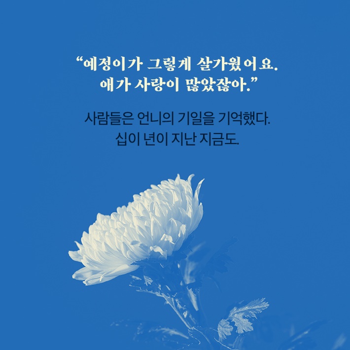 카드뉴스8