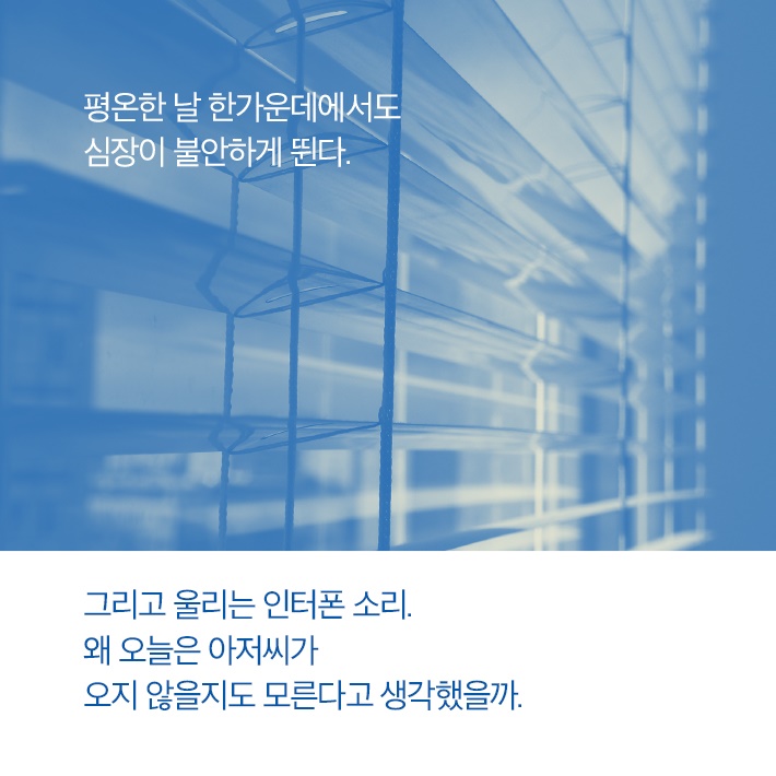 카드뉴스11