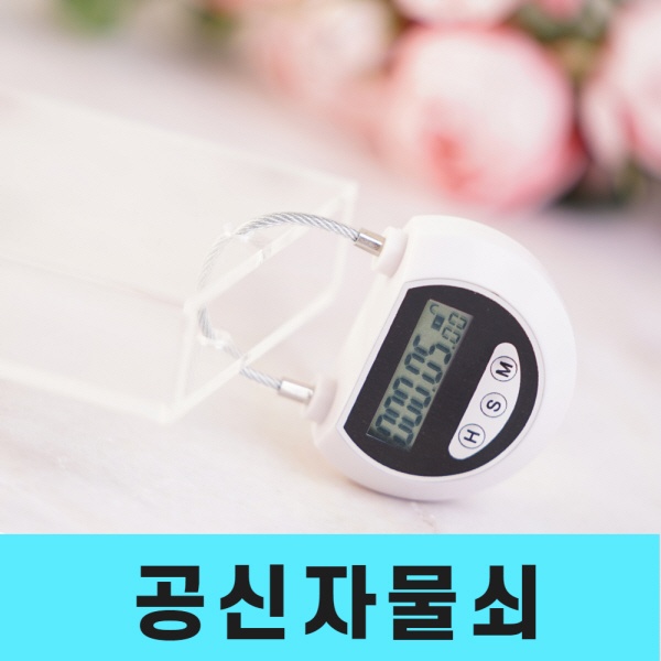 공나루 반원 공신자물쇠 CXP-896 수험생선물 공시생선물