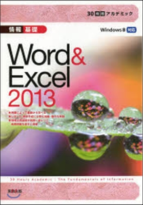 情報基礎 Word&Excel2013