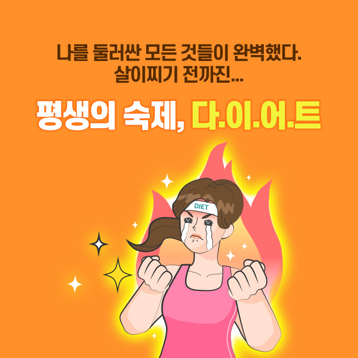 카드뉴스