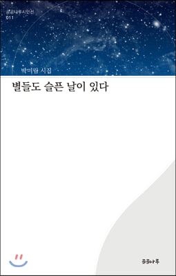 별들도 슬픈 날이 있다(곰곰나루시인선 11)