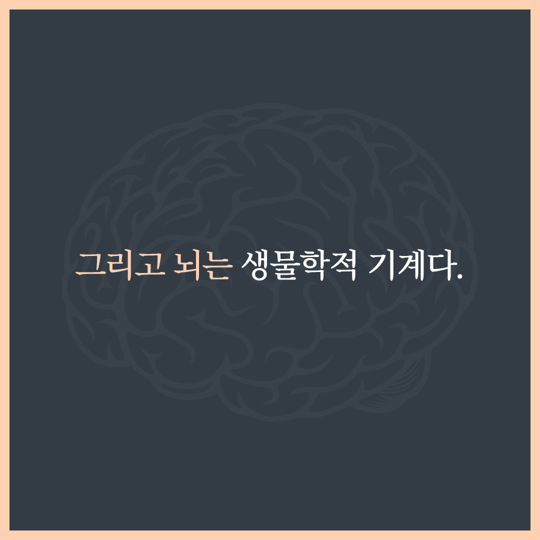 카드뉴스2