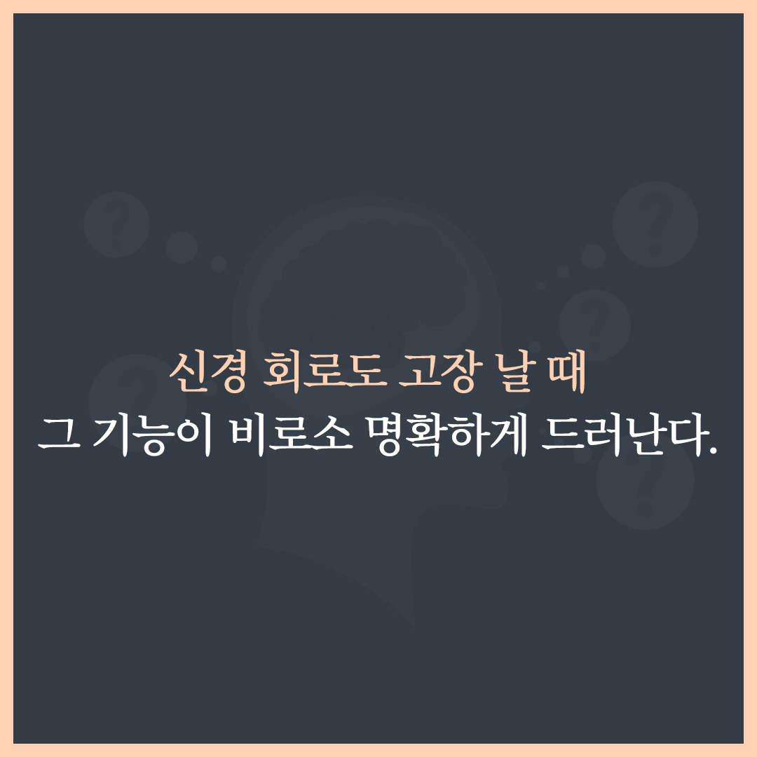 카드뉴스5