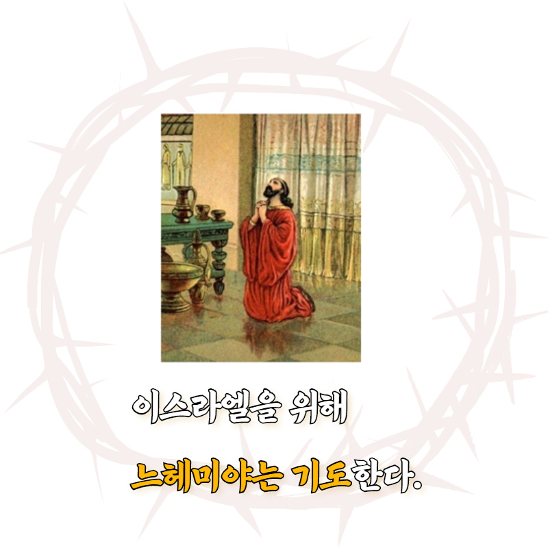 카드뉴스3