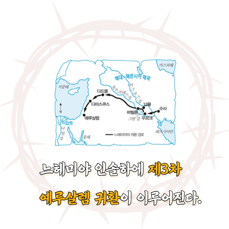 카드뉴스5